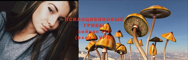 a pvp Медвежьегорск