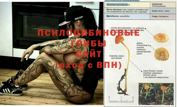 ешки Михайловка
