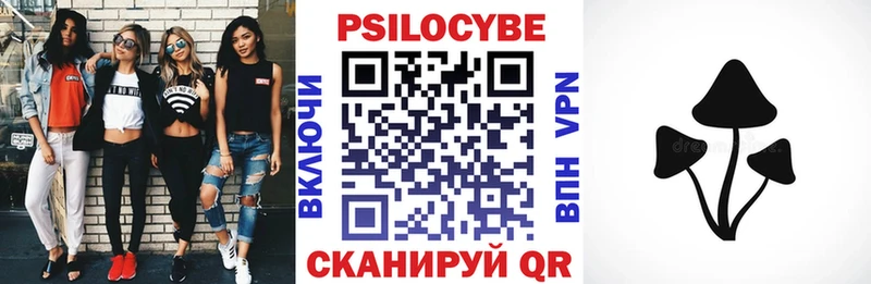 Купить  Меленки  Галлюциногенные грибы Psilocybe 