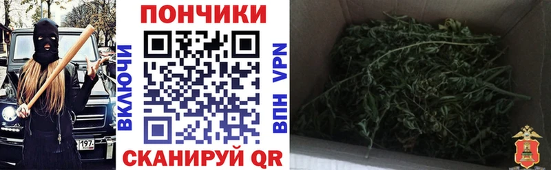 Конопля ГИДРОПОН  Купить  Меленки 
